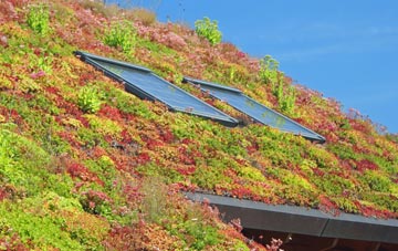 Little Harwood living roof systems