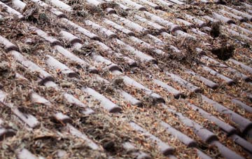 Little Harwood roof cleaning companies