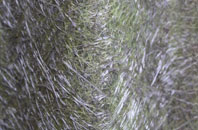 Little Harwood fibreglass roof work